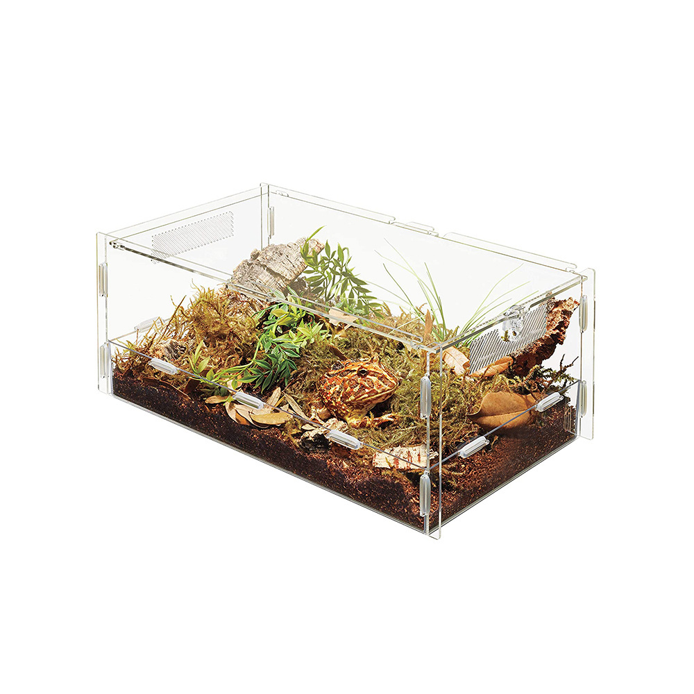 Acrylic Snake Frog Feeding Box Reptile Pet Feeding Box Plastic Reptile Terrarium Display Case