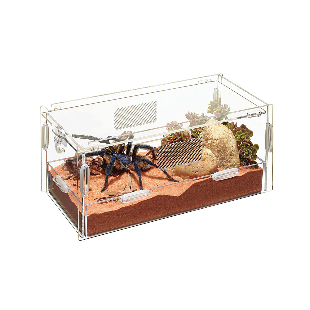 Acrylic Snake Frog Feeding Box Reptile Pet Feeding Box Plastic Reptile Terrarium Display Case