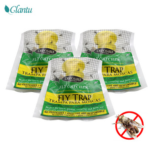 Bed bug trap fruit fly trap outdoor fly catcher