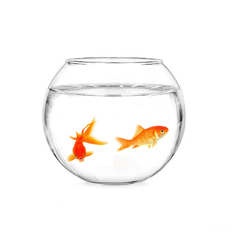 New style Glass Goldfish Tank Bowl Clear Round Gallon Glass Fish Vase ...