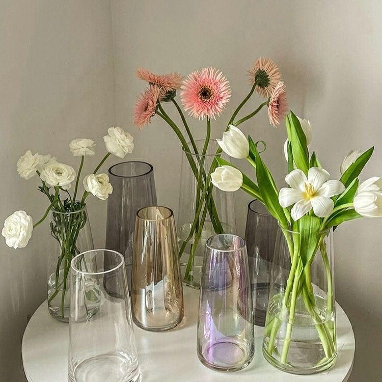 Nordic light luxury primary color transparent glass vase water-raising tulip vase living room glass vase