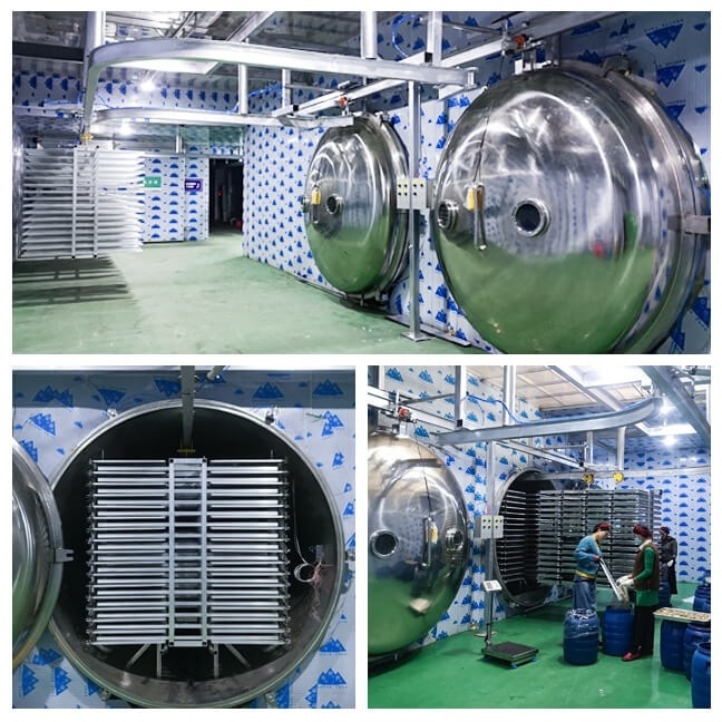 Factory price freeze dryer/vaccum lyophilizer/vacuum freeze dryer machinery