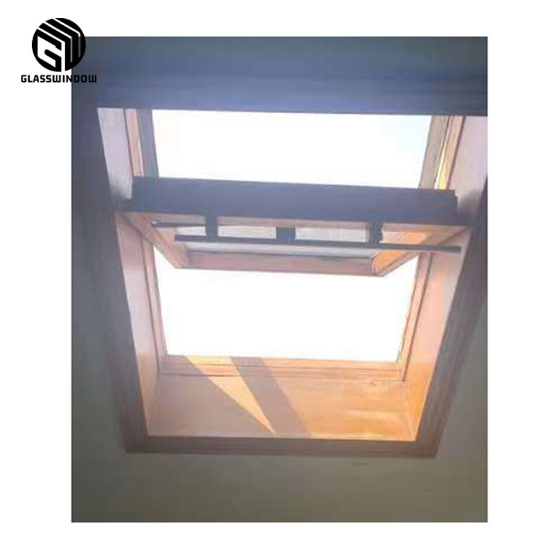 China Big Factory Good Price Steel Windows For Homes Roof Window Door Windows Seal