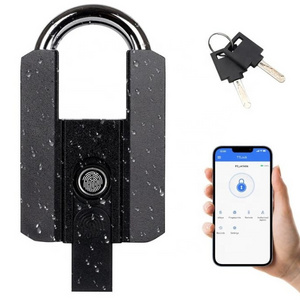 Wholesale Fingerprint Smart Padlock Finger Print Padlock With Keyless Suitable for Gym Biometric Lock and Storage Smart Padlock