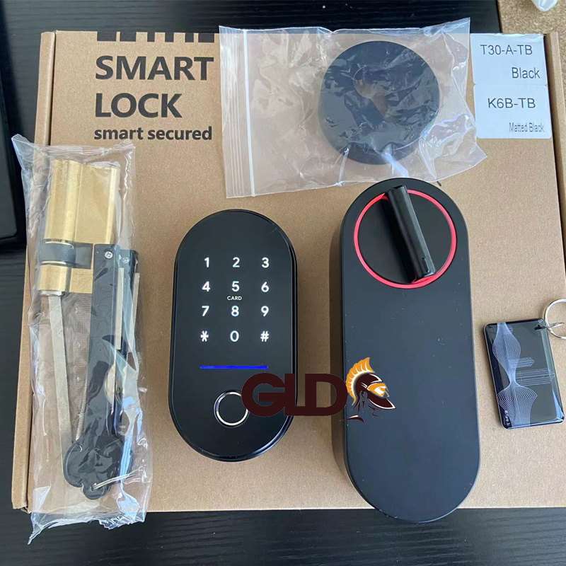 T30 smart Ttlock Tuya Front Digital Biometric Password Finger Print Deadbolt external Locks Key Fingerprint Door Lock for Home