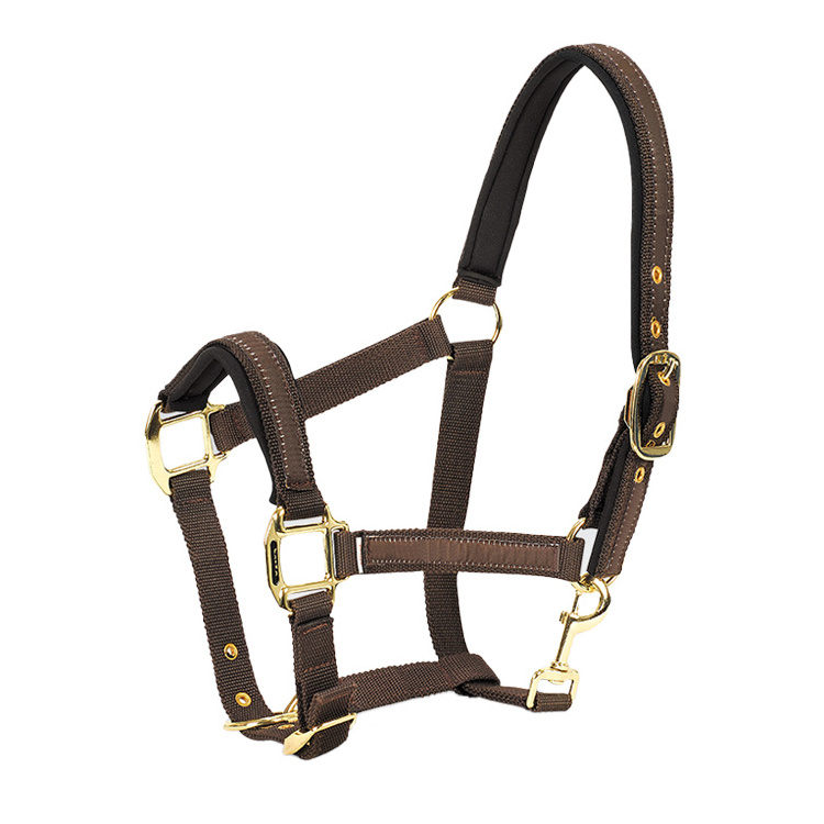 Wholesale Equine Products Horse Halter Custom Made Hardware Buckle Fitting Equestrian Leather Horse Halter