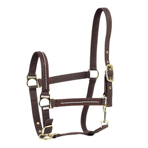 Wholesale Equine Products Horse Halter Custom Made Hardware Buckle Fitting Equestrian Leather Horse Halter