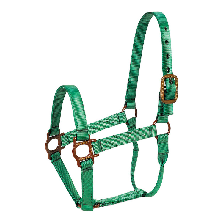 Wholesale Equine Products Horse Halter Custom Made Hardware Buckle Fitting Equestrian Leather Horse Halter