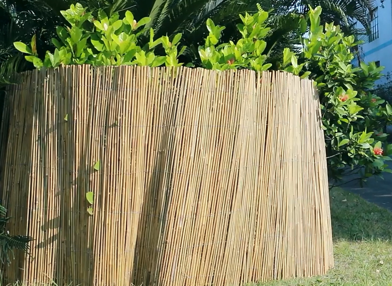 Customized raw material natural treated staight durable bamboo pole Garden fence