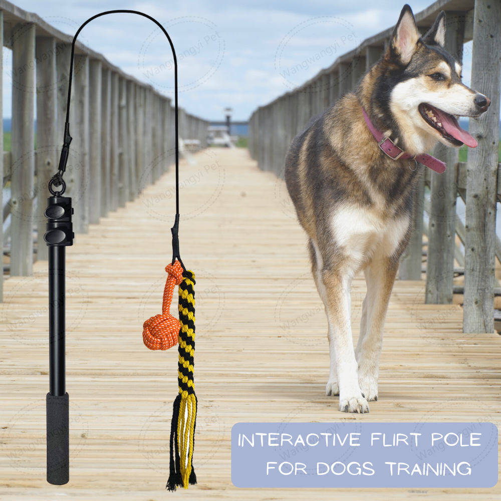 Extendable Outdoor Dog Flirt Pole Toy Interactive Dog Teaser Wand with Cotton Rope Toy