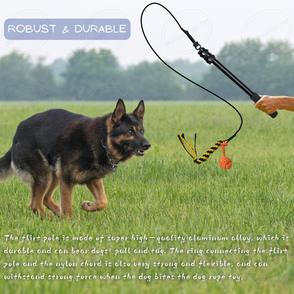 Extendable Outdoor Dog Flirt Pole Toy Interactive Dog Teaser Wand with Cotton Rope Toy