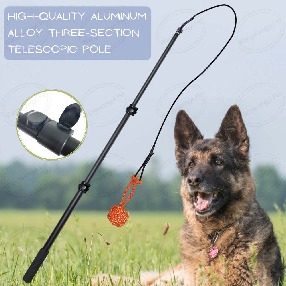 Extendable Outdoor Dog Flirt Pole Toy Interactive Dog Teaser Wand with Cotton Rope Toy