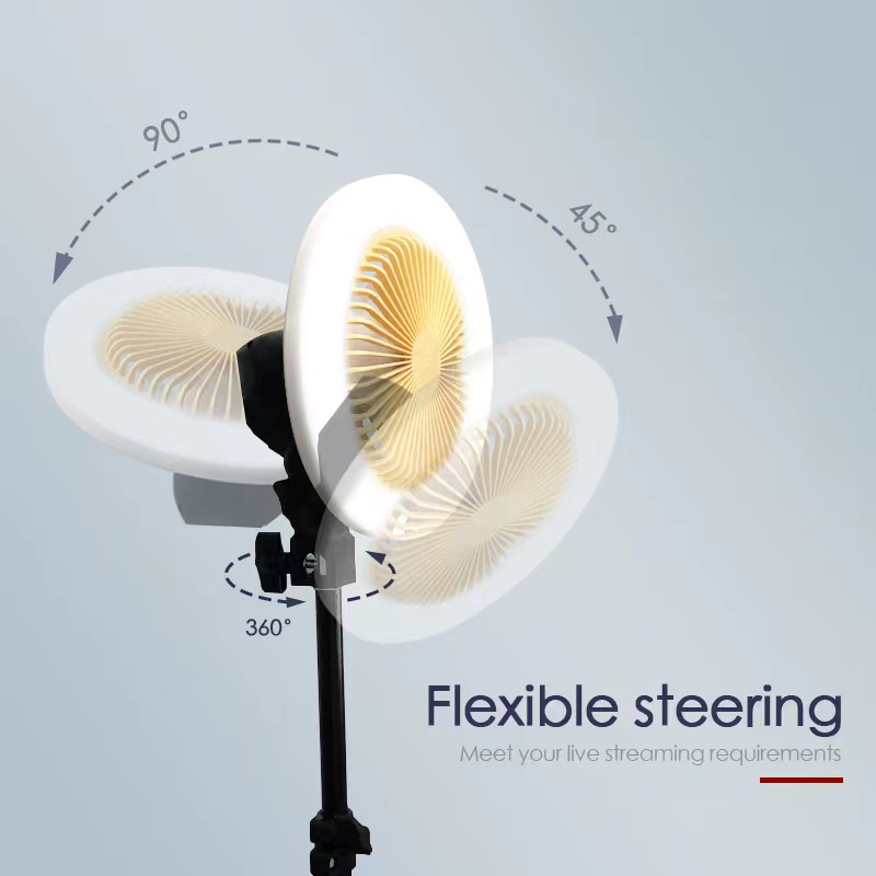 Modern Ceiling  E27 Ceiling Light Fan Lamp with Fan 3 Speed Adjustable  For Bedroom Dining Room 220v