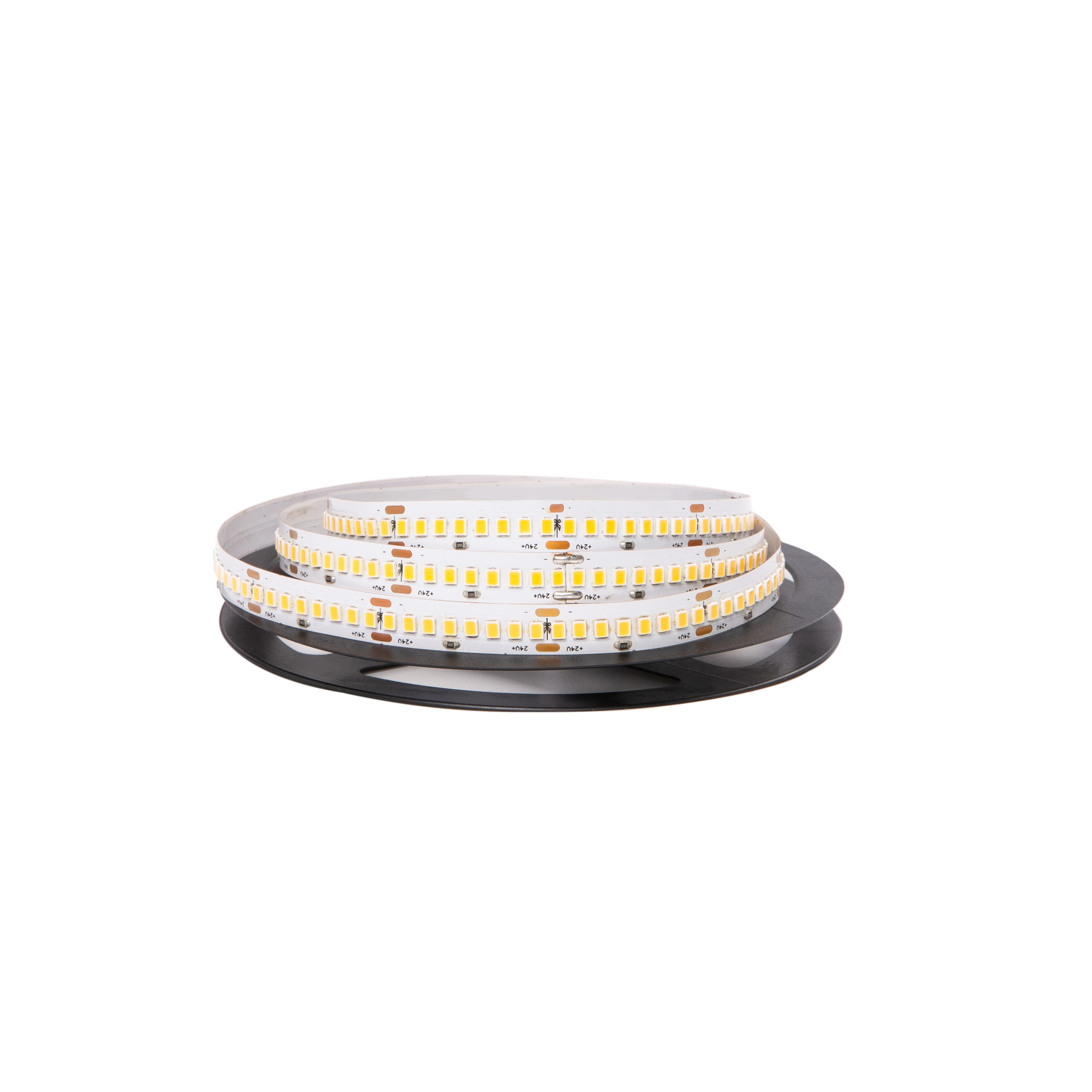 Single color LED Strip 2835 240 LEDs/m 12v 24v 3000K 4000K 6000K White Rope Lighting