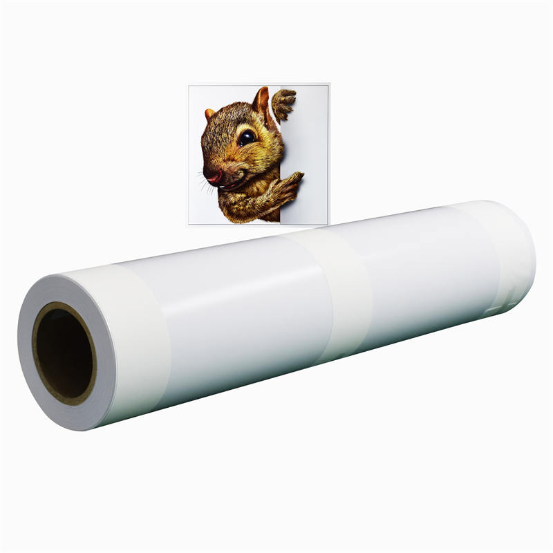 Environmental Friendly Eco solvent Matte Photo Paper 220gsm inkjet media printing matt photo paper