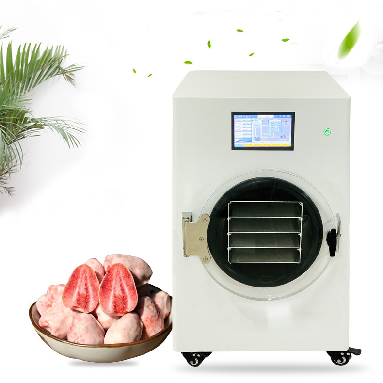 BAXIT MIni Freeze Dryer Commercial Food Beef Dryer Dried Meat Dry Fruit Industry Jerky Dehydrate Machine for Sale