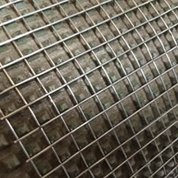 19 Gauge 1/2 Inch Stainless Steel Welded Wire Mesh