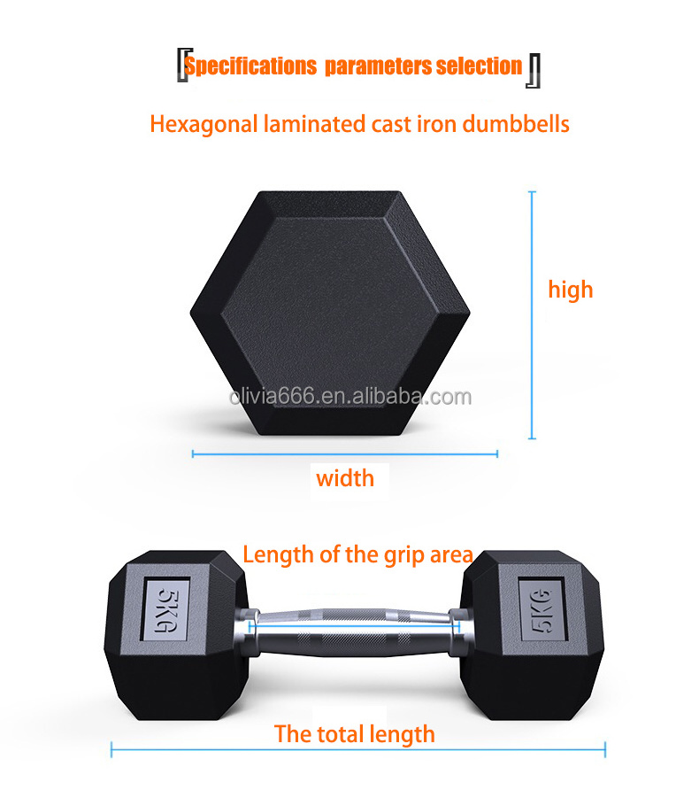 Wholesale Home Gym Fitness Equipment 2KG 3KG Own Logo Hexagon Dumbbell Hex Set