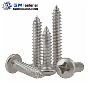 Stainless Steel 304 316 Pan Head Self Tapping Screw