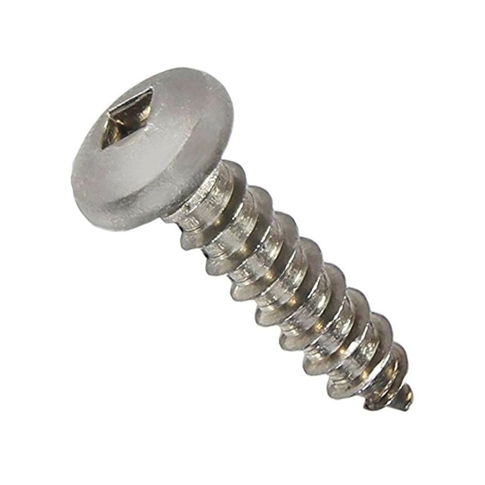 Stainless Steel 304 316 Pan Head Self Tapping Screw