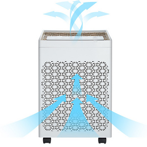 2023 Ningbo Ozone Air Purifier Generator Hepa Filter Rohs Ce Cb Air Purifier For Home Room Air Cleaner