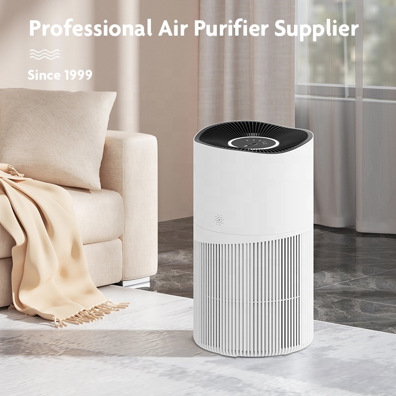 commercial household electrostatic oxygene air purifier home pm 2.5 manufacturer in china hepa for smart air purifier for home