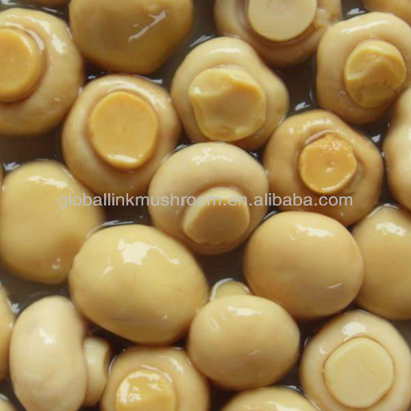 canned whole button champignon mushroom