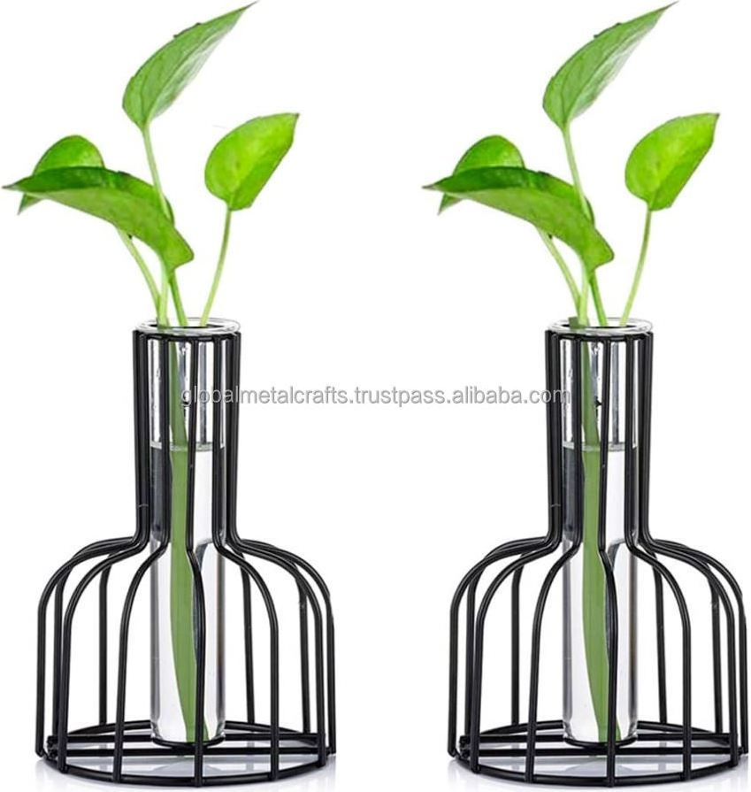 Wire Bottle Geometric Test Tube Vase for Flowers with Metal Frame & Glass Tube Planter, Vases for wedding home table decoration