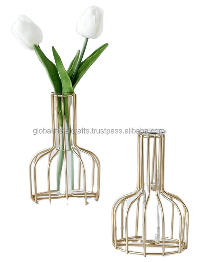 Wire Bottle Geometric Test Tube Vase for Flowers with Metal Frame & Glass Tube Planter, Vases for wedding home table decoration