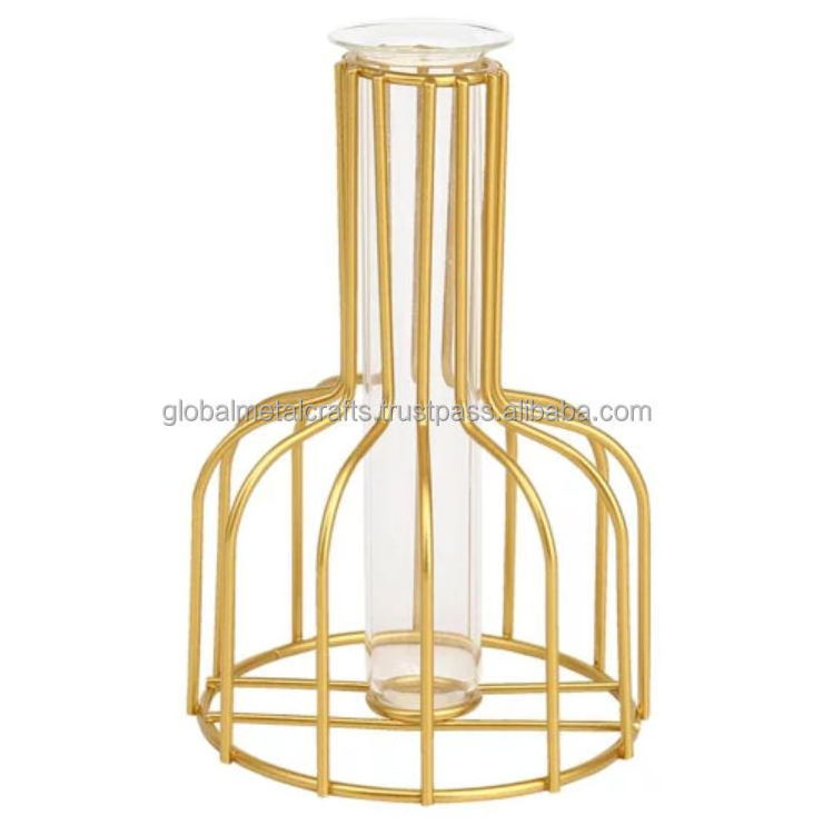 Wire Bottle Geometric Test Tube Vase for Flowers with Metal Frame & Glass Tube Planter, Vases for wedding home table decoration