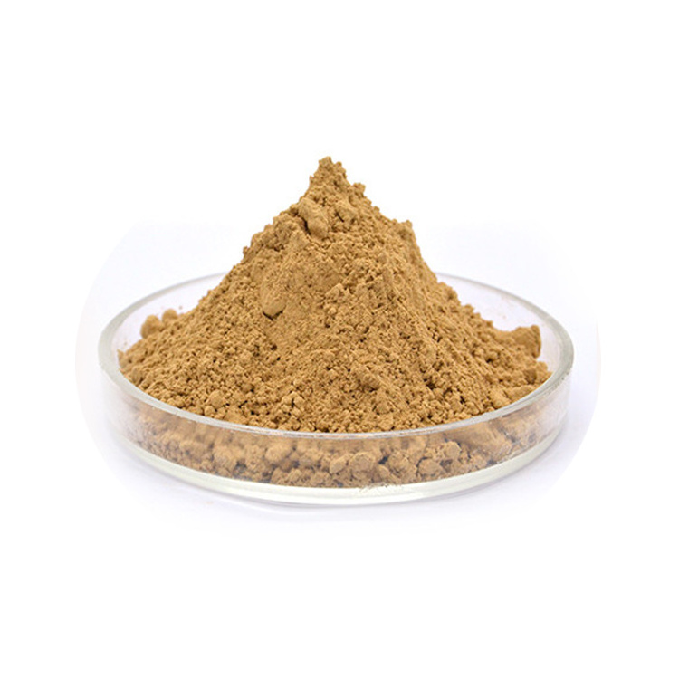 Factory Supply Hypericin Bulk Hypericun Perforatum Extract 0.3% Hypericin Powder