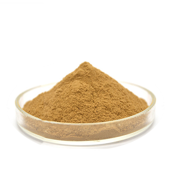 High Quality mushroom extract Natural tea tree extract bulk pure tea tree powder