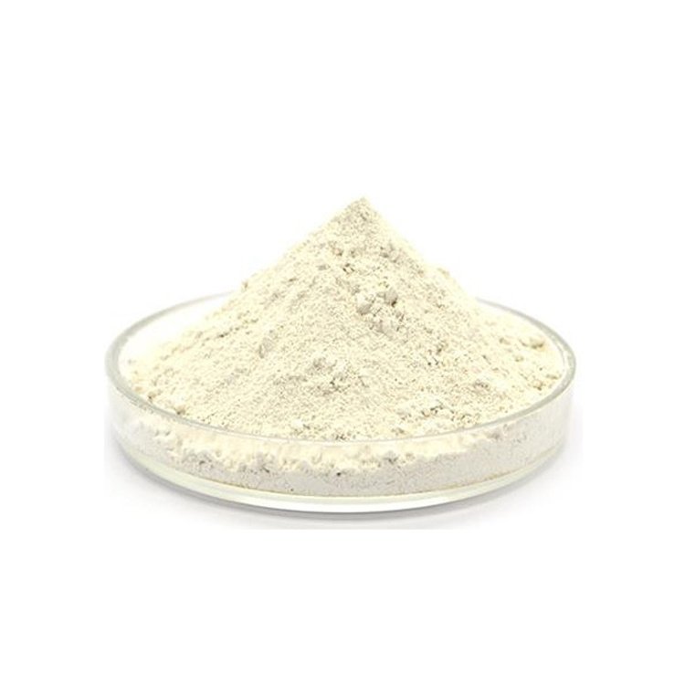 Wholesale price cas 793-24-8 bulk Rubber Antioxidant 4020 powder