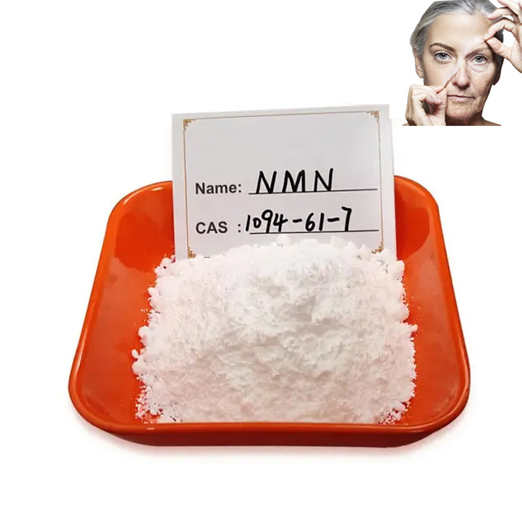 Top Quality beta-nicotinamide mononucleotide(nmn) supplements nicotinamide pure natural 99% nicotinamide powder