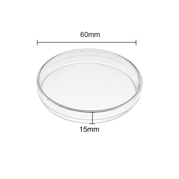 Processing 60mm 90mm Glass Bottom Cell Culture Quartz Square Cylinder Petri Dish