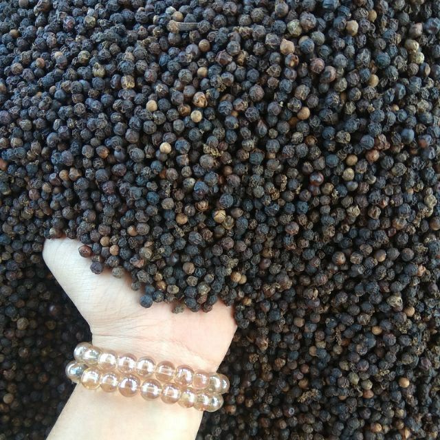 500 550 580 G/L Dried Spices And Herbs New Crop 2023 Whole Black Peppercorn Factory Price cheap Bulk Wholesale Premium pepper