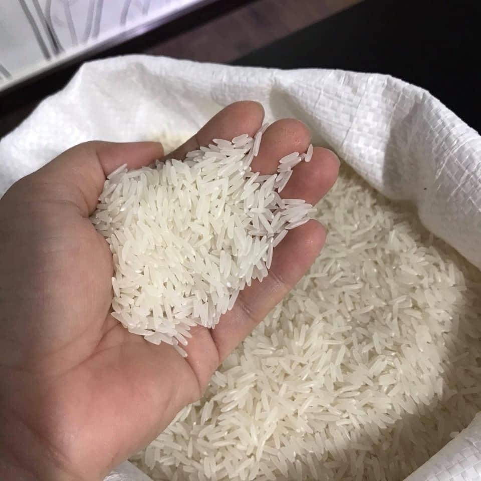 High Quality White Rice Jasmine Rice From Top Factory In Vietnam - COMPETITIVE PRICE