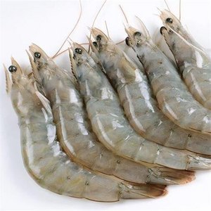 Frozen Vannamei shrimps high quality from Vietnam, vannamei peeled tail on shrimps