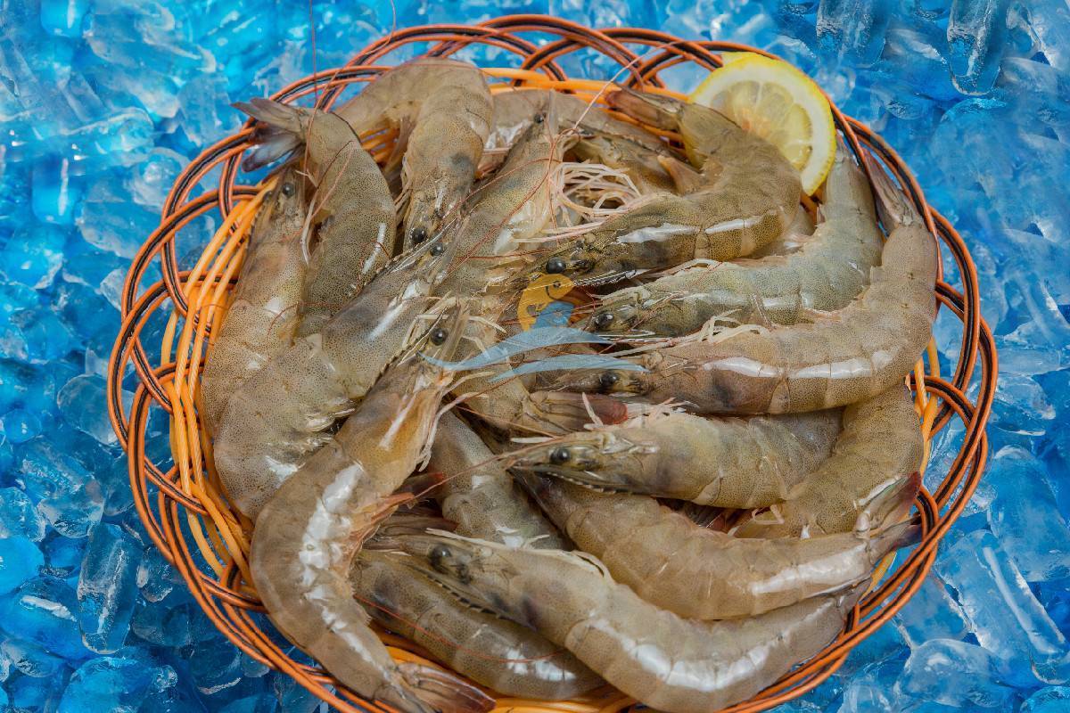 Frozen Vannamei shrimps high quality from Vietnam, vannamei peeled tail on shrimps