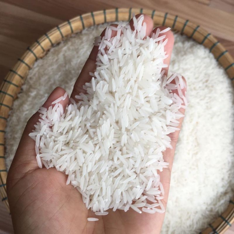 High Quality White Rice Jasmine Rice From Top Factory In Vietnam - COMPETITIVE PRICE