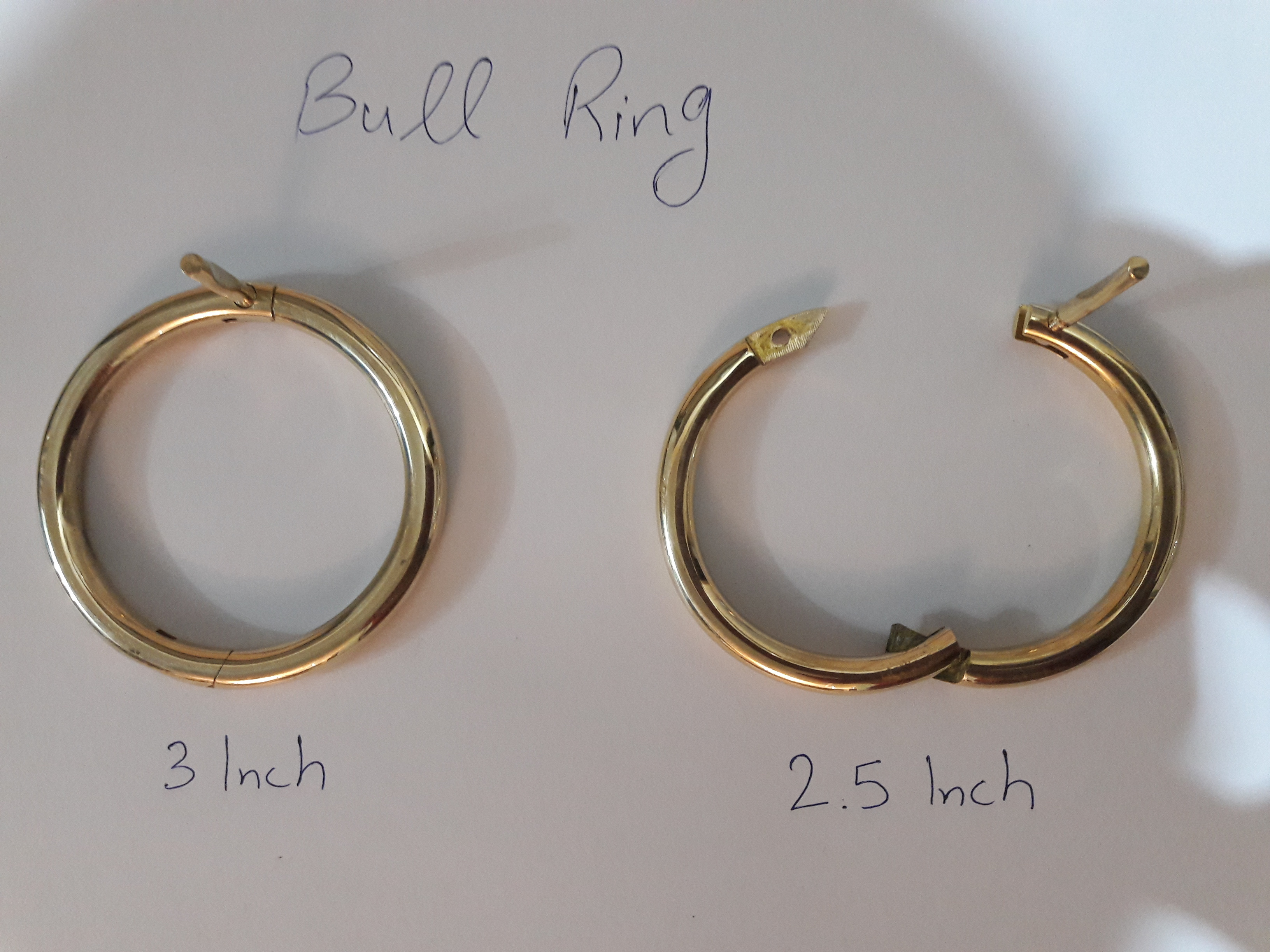 Bull Nose Ring 3