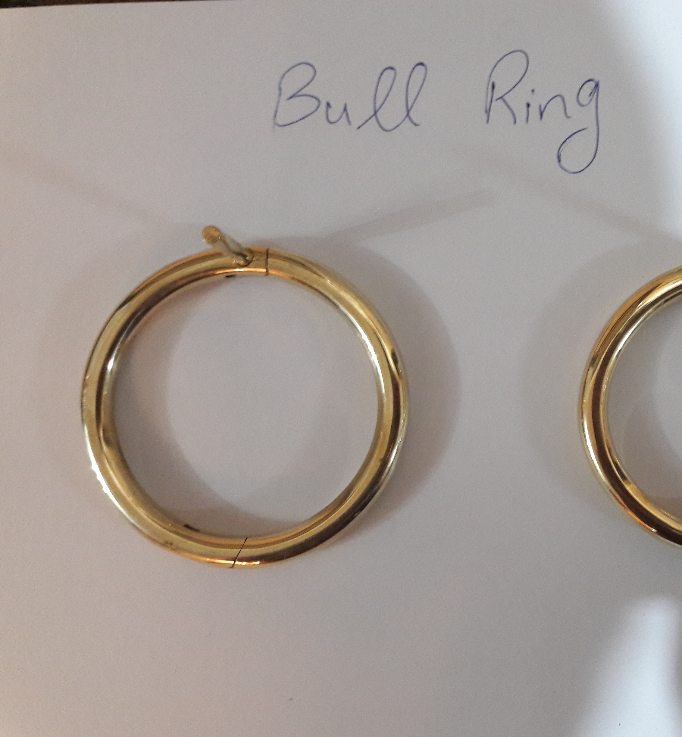 Bull Nose Ring 3