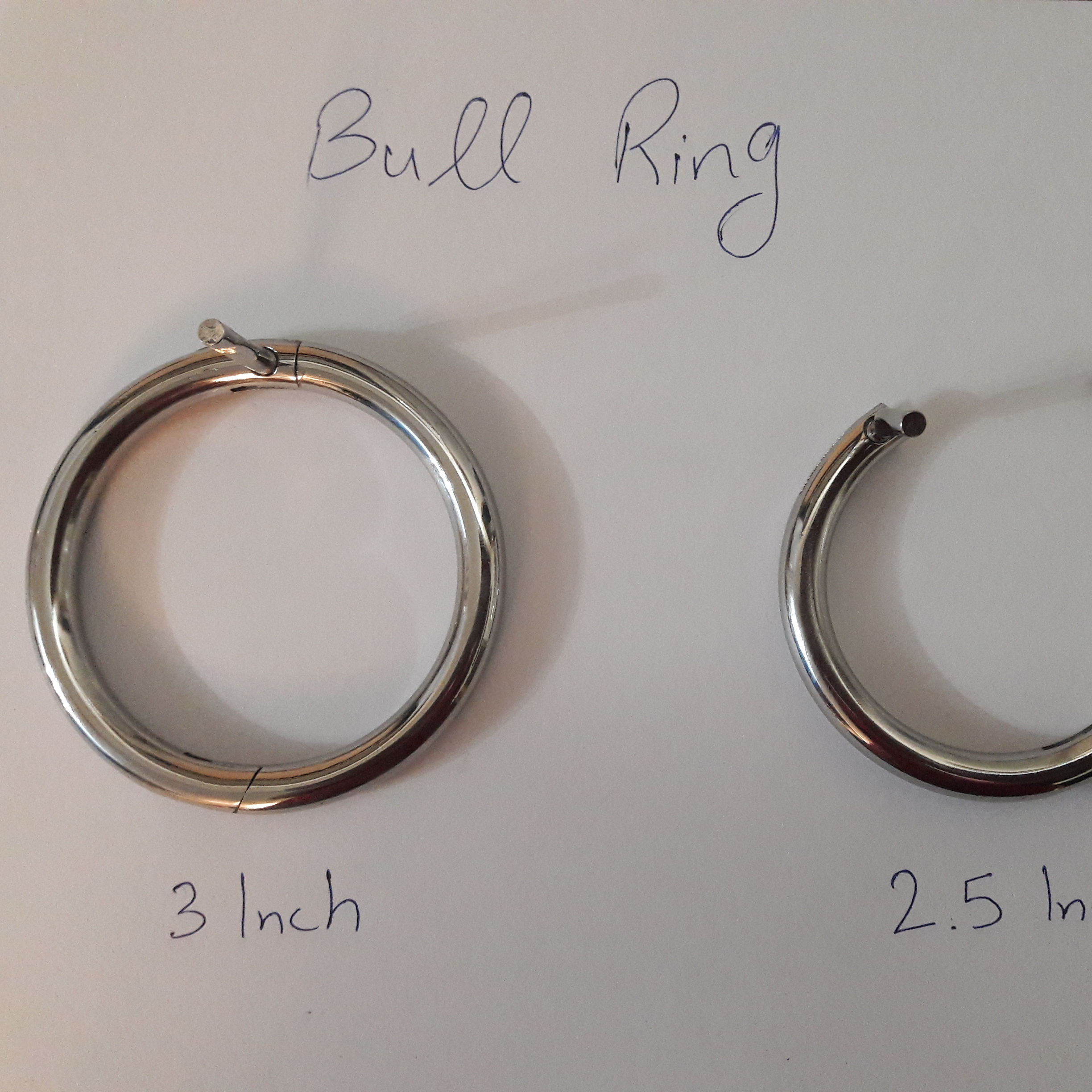 Bull Nose Ring 3