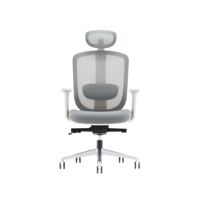 Ergochair Pro Height Adjustable 4D Armrest Executive Donati High Back Office Mesh Chair Ergonomic