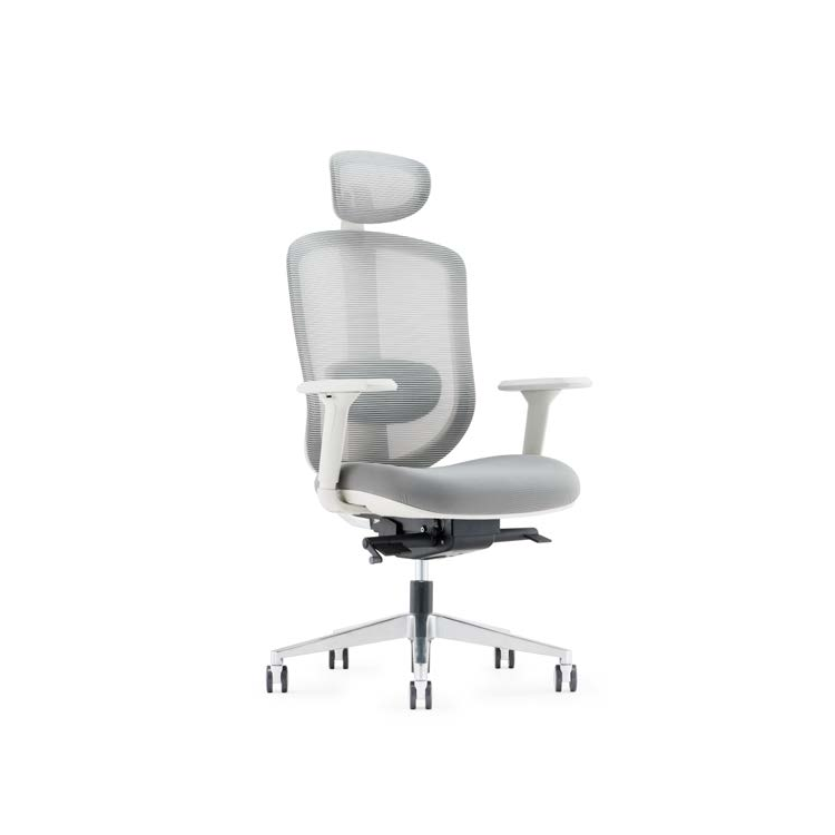 Ergochair Pro Height Adjustable 4D Armrest Executive Donati High Back Office Mesh Chair Ergonomic