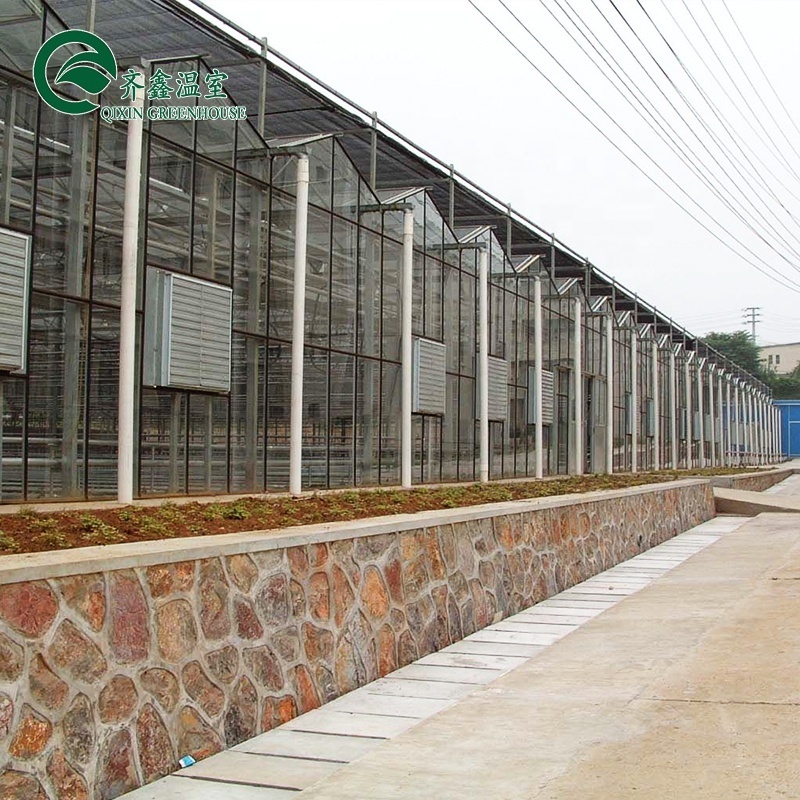 complete commercial greenhouse and hydroponic system