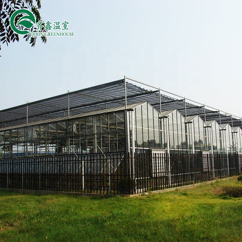 complete commercial greenhouse and hydroponic system