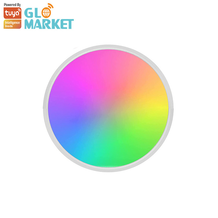 Glomarket Tuya Dimmable Bedroom Ceiling Lamb 24W 36W Alexa Voice Control Ambient RGB Music Sync Smart WiFi Ceiling Light