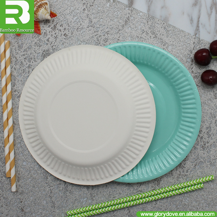 Bamboo Resource disposable Printed Paper Plates(great for advertising)