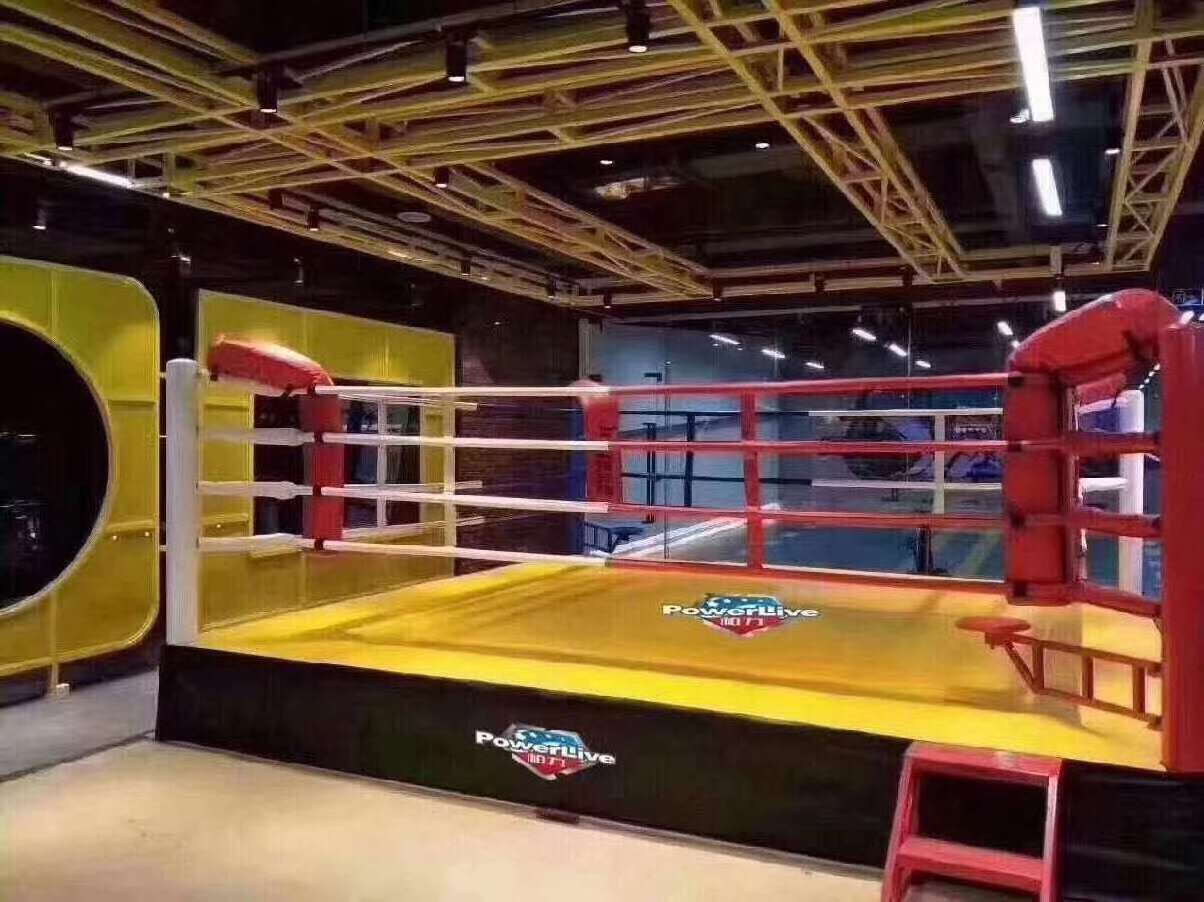 Different size Commercial gym equipment mma Boxing ring Boxing cage